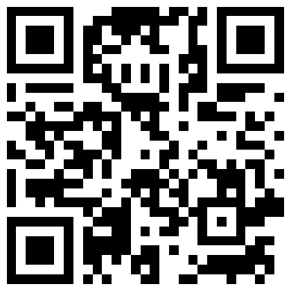 QR MAX-бот Tessera
